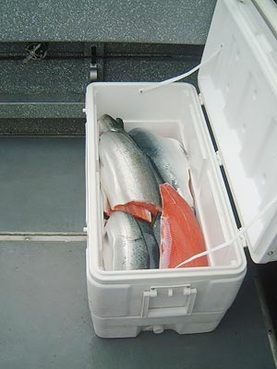 vacuum pack fish in alaska